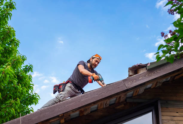 Best Asphalt Shingle Roofing  in Jefferson City, TN