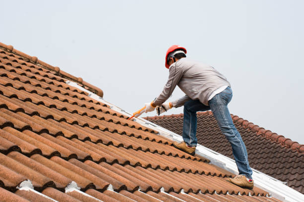 Best Steel Roofing  in Jefferson City, TN